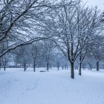 Mainz, 10. Januar 2017