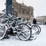 Mainz, 10. Januar 2017
