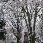 Mainz, 10. Januar 2017