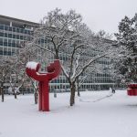 Mainz, 10. Januar 2017