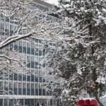 Mainz, 10. Januar 2017
