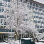 Mainz, 10. Januar 2017