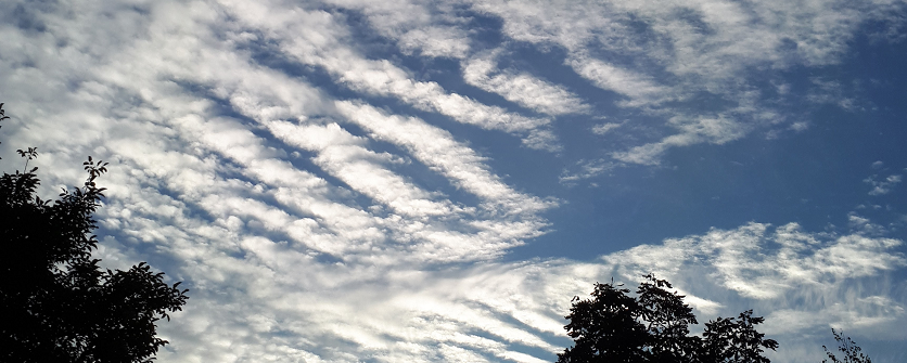 Project BINARY: Big Data in Atmospheric Physics