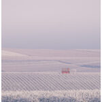Rheinhessische Winterlandschaft