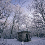 Eine verschneite Hütte im Wald