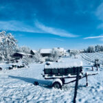 Rheinhessischer Winter