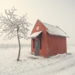 winterliches Rheinhessen