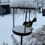 Nach dem Eis kam der Schnee